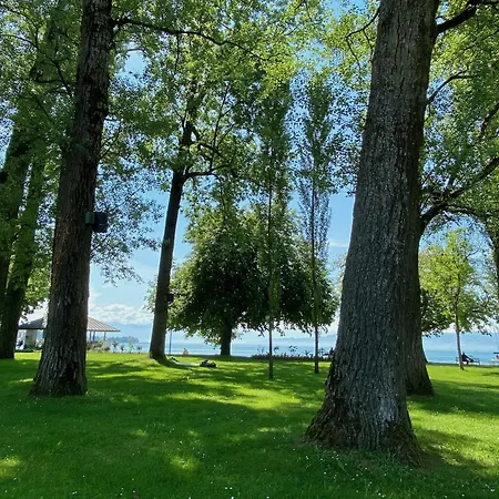 Fischerpromenade - Seenah, Im Fischerdorf Mit Grosser Terrasse Kressbronn am Bodensee