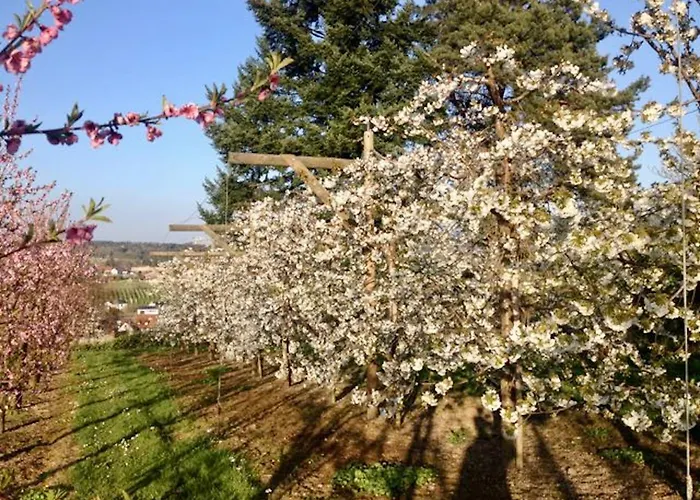 Fischerpromenade - Seenah, Im Fischerdorf Mit Grosser Terrasse